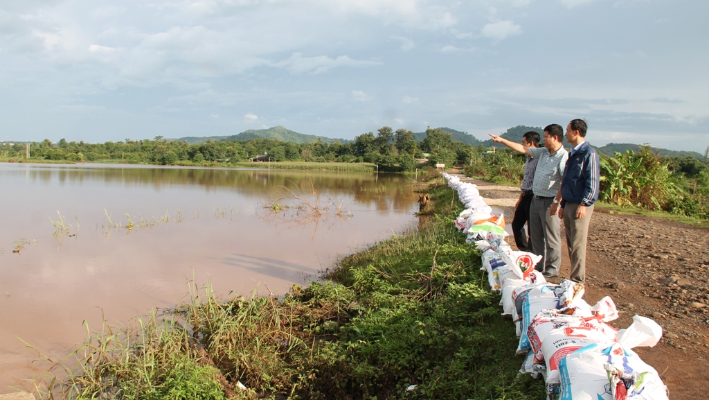 Thành Trì Xanh Biển Đê điều - Hào Anh Dũng Của Dân Tộc