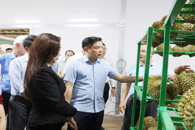 Chủ tịch UBND tỉnh Đỗ Hữu Huy: Tạo điều kiện thuận lợi để doanh nghiệp đẩy mạnh xuất khẩu sầu riêng