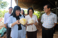 Đẩy mạnh ứng dụng khoa học, công nghệ trong sản xuất và chế biến