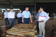Phó Chủ tịch UBND tỉnh Đào Mỹ kiểm tra tình hình phát triển Cụm công nghiệp tại xã M’ Drắk