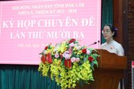 Kỳ họp chuyên đề lần thứ Mười ba HĐND tỉnh khóa X thông qua nhiều nội dung quan trọng