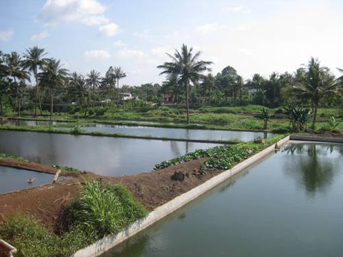 image000001.jpg