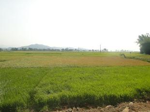 14082011164800.jpg